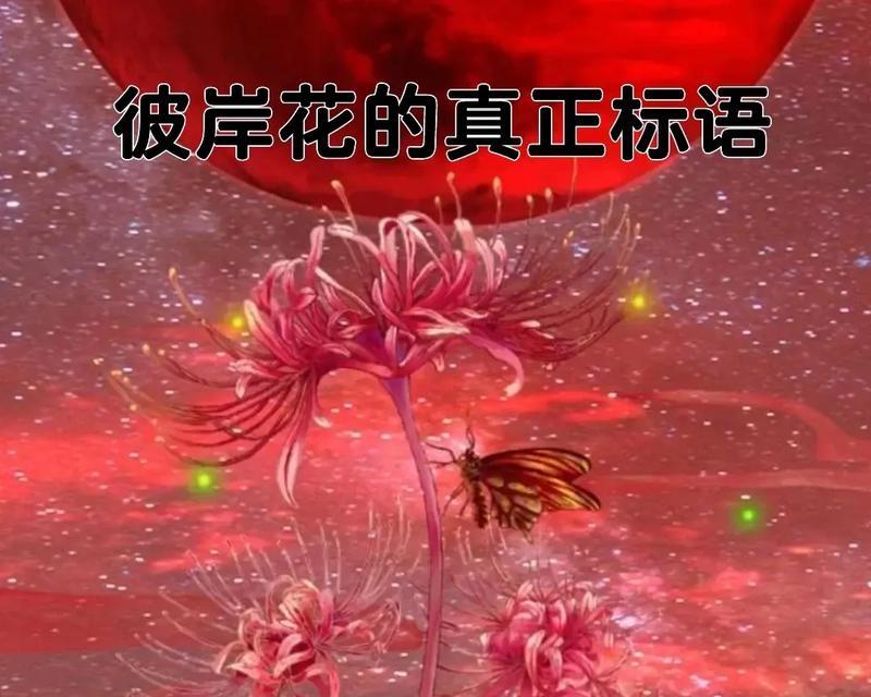 彼岸花的寓意和花语是什么？