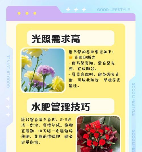 康乃馨：从浪漫故事到现代养护指南！