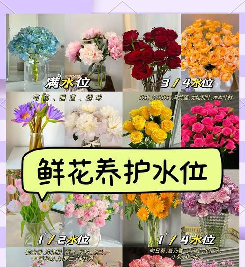 康乃馨：从浪漫故事到现代养护指南！