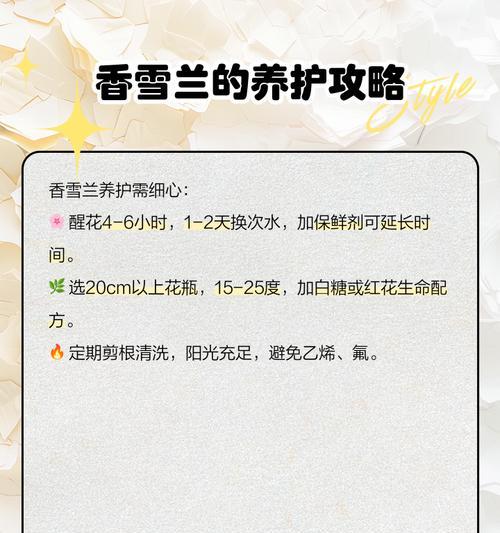 香雪兰养护全攻略是什么？