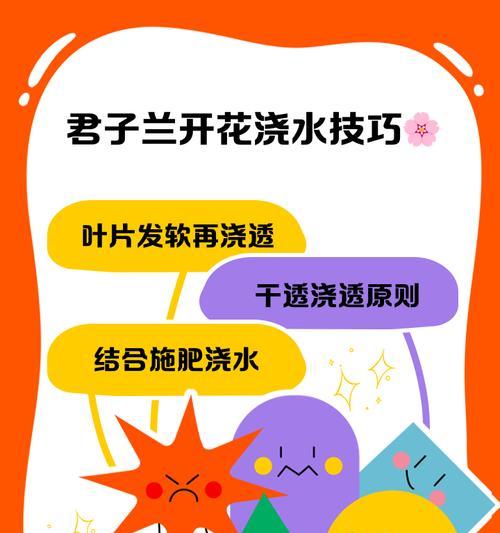 使用电线养护君子兰时浇水技巧？