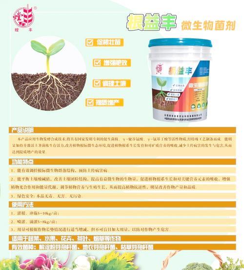 夏季玫瑰花施肥技巧及注意事项？