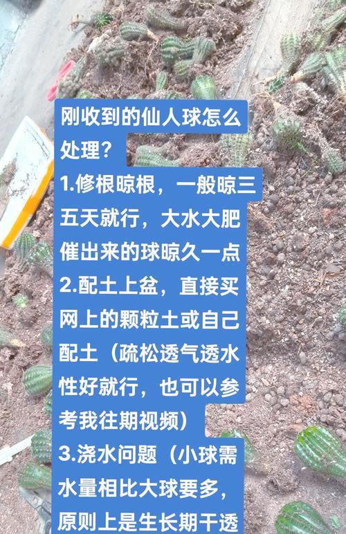 如何让仙人球多出花苞？应该喷什么肥料？