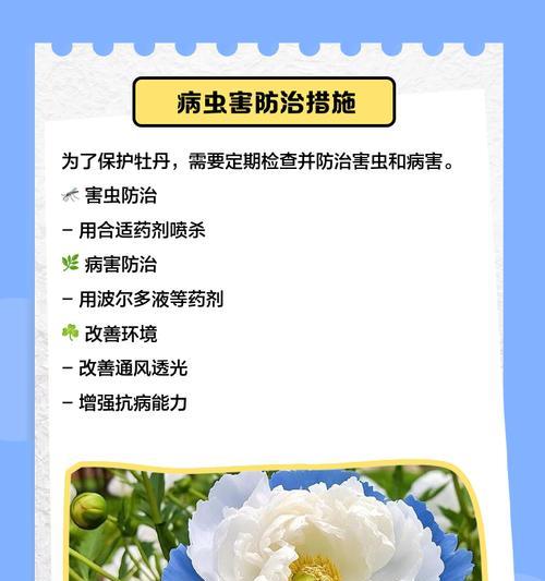 牡丹花新芽出现后应如何进行养护和管理？