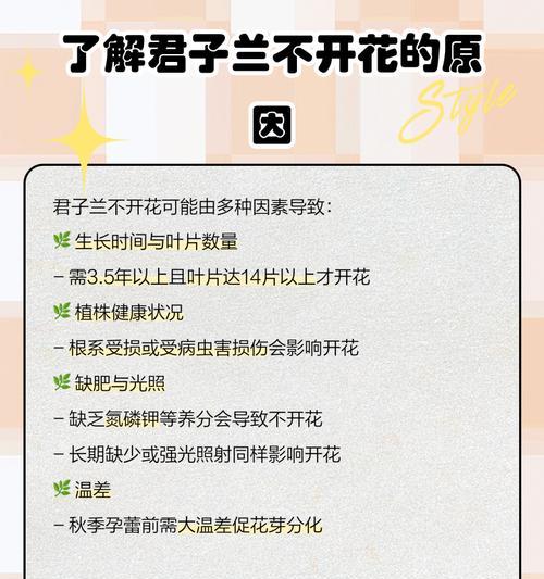 君子兰销售不开花原因？市场偏好如何？