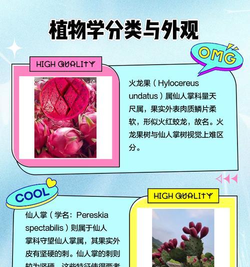 如何成功养活仙人掌火龙果？