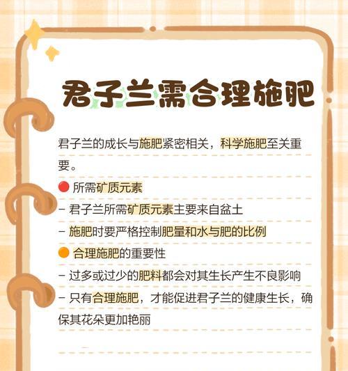 君子兰专用肥料的选择与使用方法是什么？