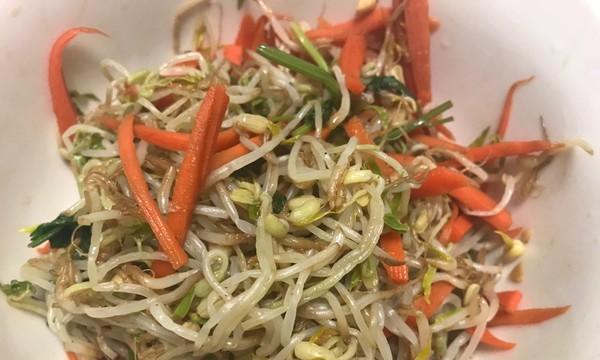 虾皮可以用来养仙人掌吗？如何正确使用虾皮养仙人掌？