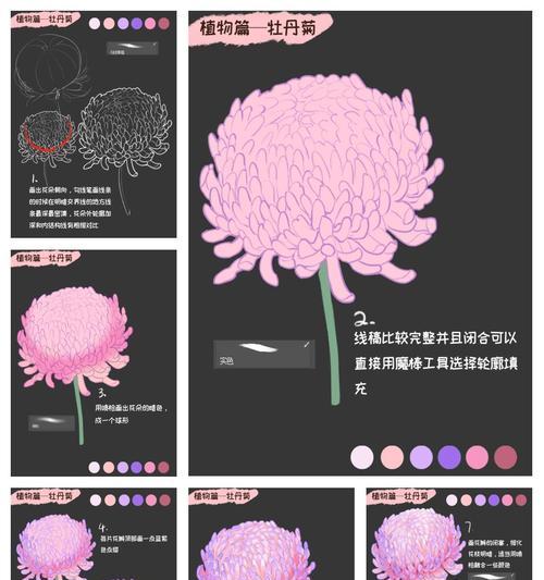 氧化菊牡丹花应该怎么养护和浇水？