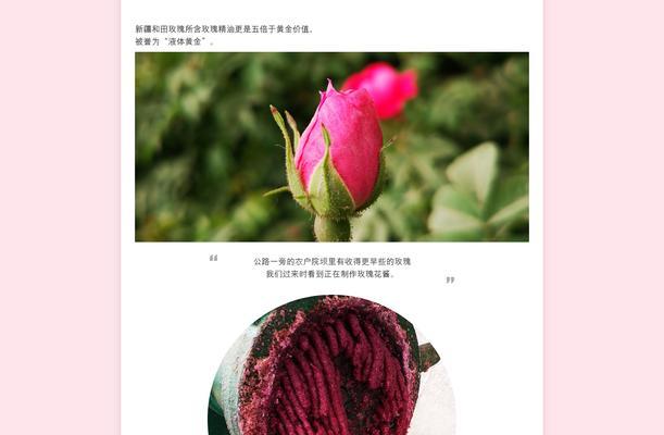 保留玫瑰花旁枝的利弊及养护方法是什么？