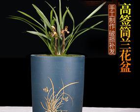 君子兰适合哪种花盆？如何选择合适的花盆？