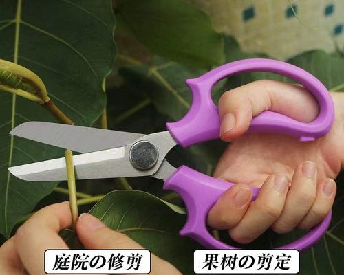 玫瑰花修剪成插花怎样才美观？