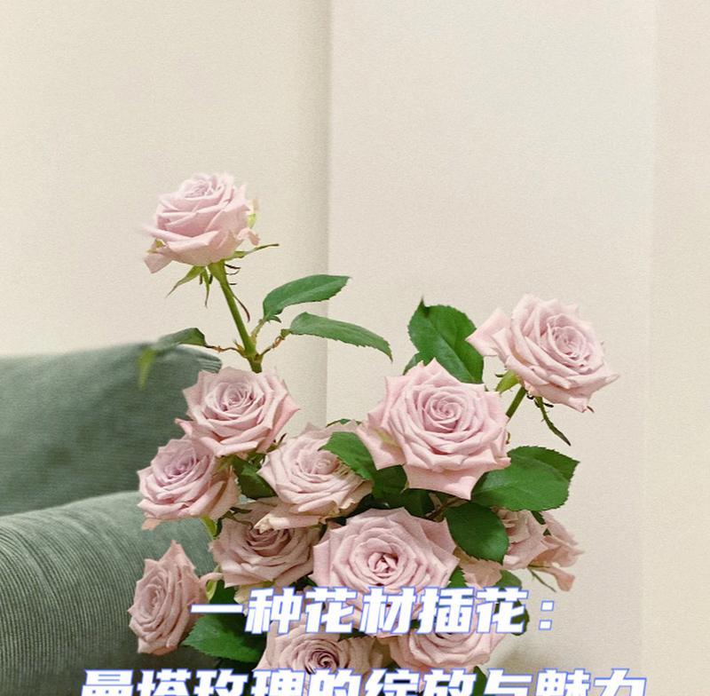 玫瑰花修剪成插花怎样才美观？