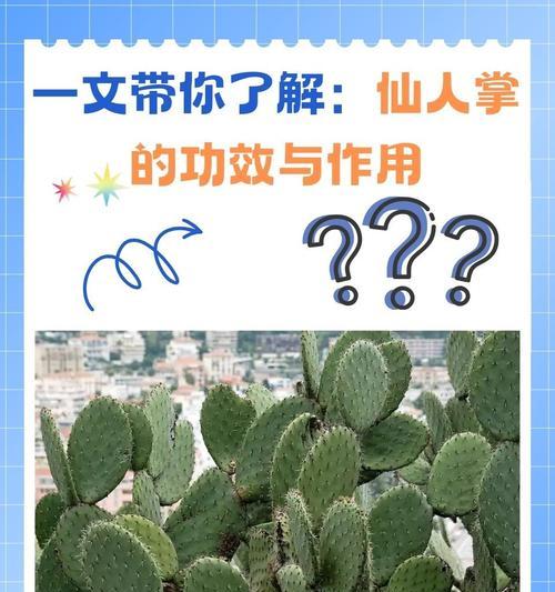 折断的仙人掌如何重新种植？
