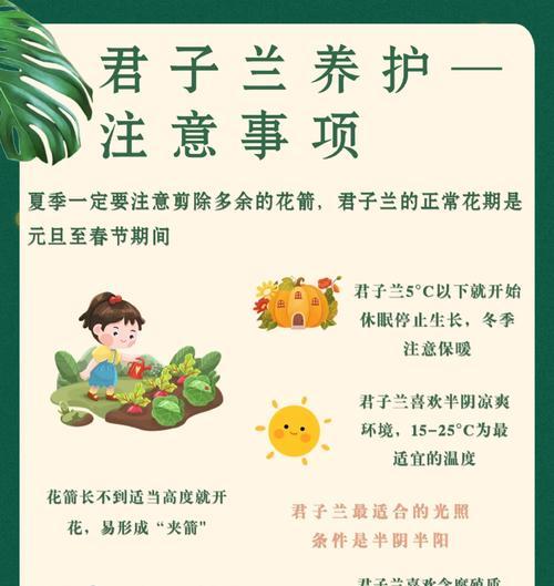 君子兰炭泥花土养护管理方法是什么？