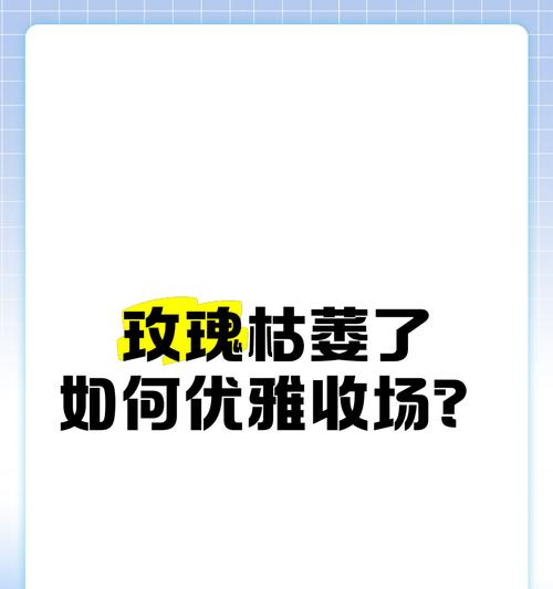 快枯萎的玫瑰花如何挽救？