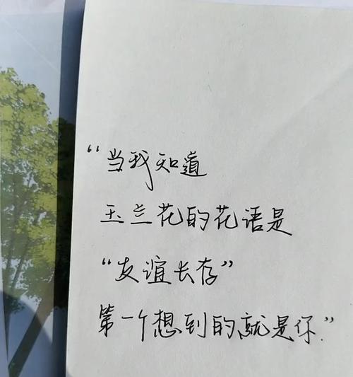 玉兰花的花语有哪些经典语录？代表了什么？