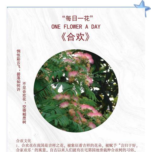 合欢花除了快乐还有哪些花语？