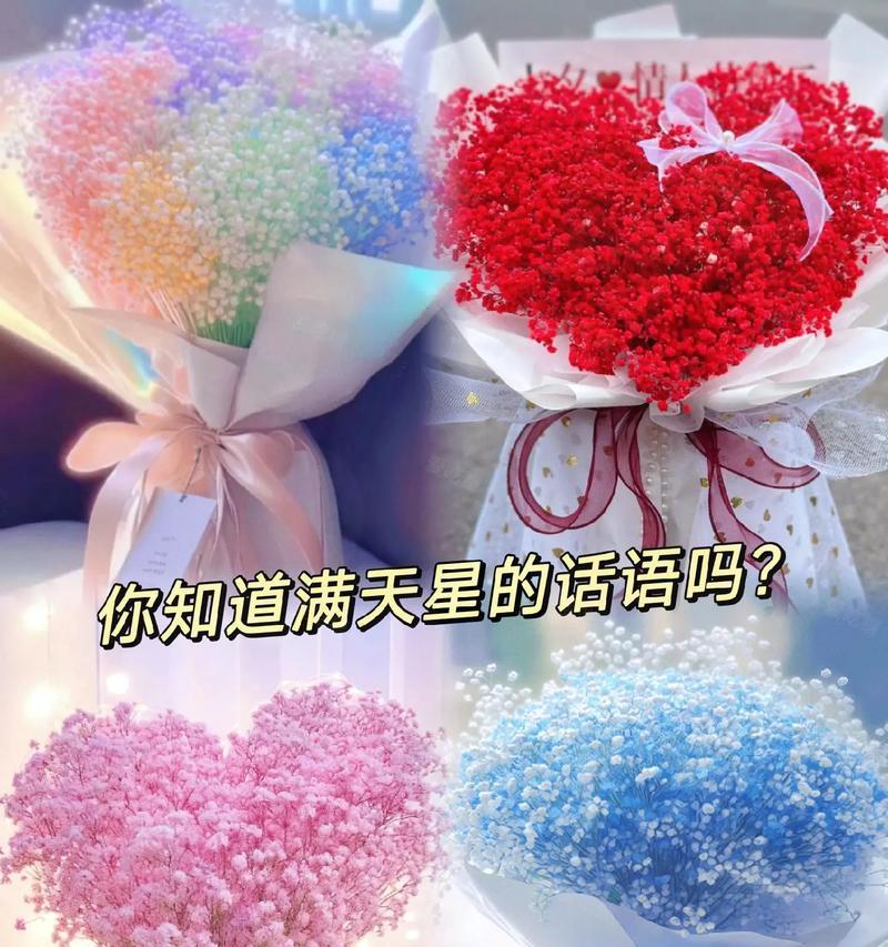 满天星花的花语是什么？满天星花语有哪些含义？