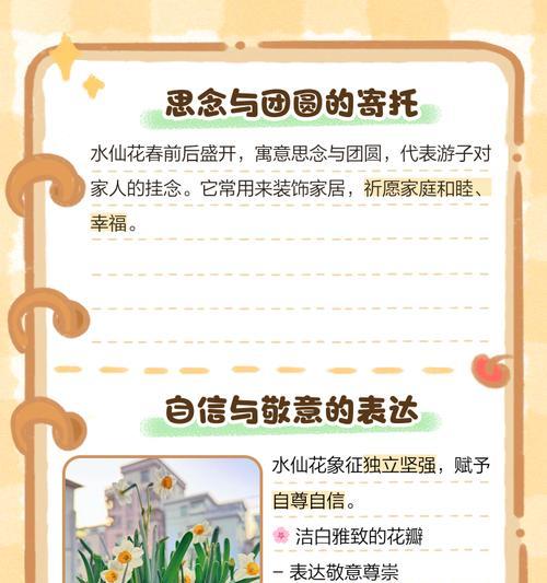 雪白水仙花的花语是什么？水仙花语有哪些寓意？