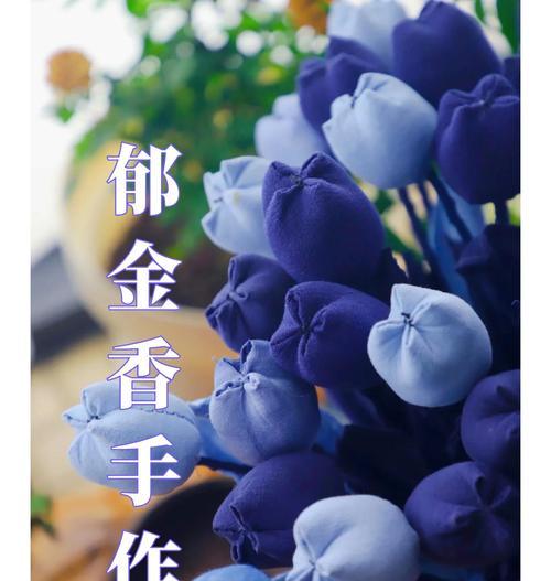 郁金香与君子兰的花语是什么？它们各自代表了什么？