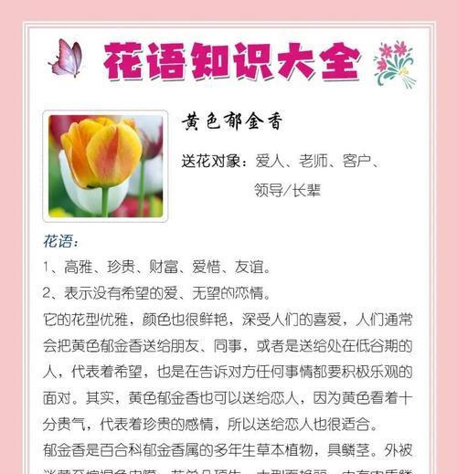 郁金香与君子兰的花语是什么？它们各自代表了什么？