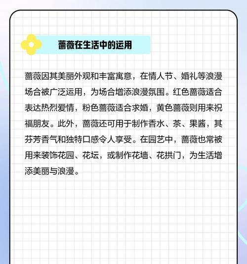 蔷薇花语在什么月份表达最合适？