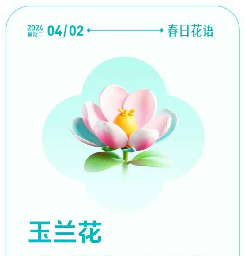 玉兰花的花语象征着什么？它有哪些寓意？