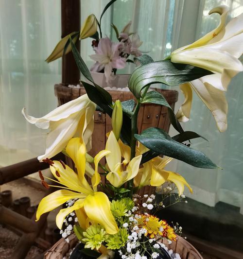 百合花的含义及其花语是什么？