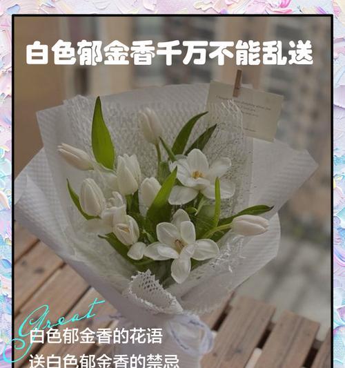 白色千万星花语是什么？白色千万星象征着什么？