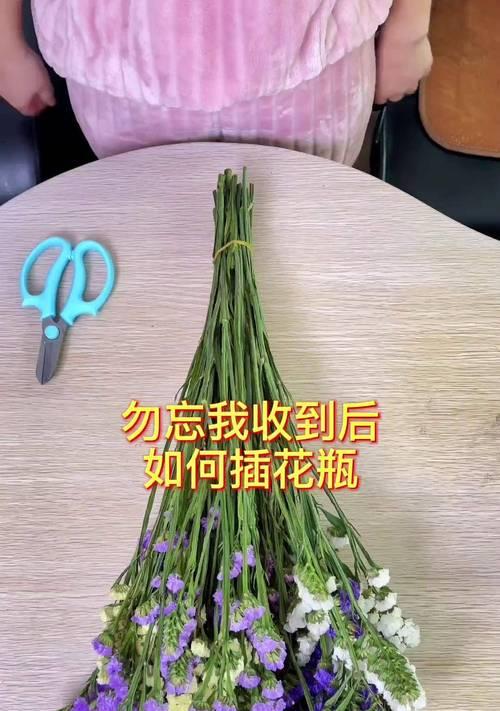 哪些花语代表留住回忆？留住回忆的花语是什么？