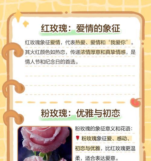 玫瑰数量的花语有哪些？玫瑰数量代表了什么意义？