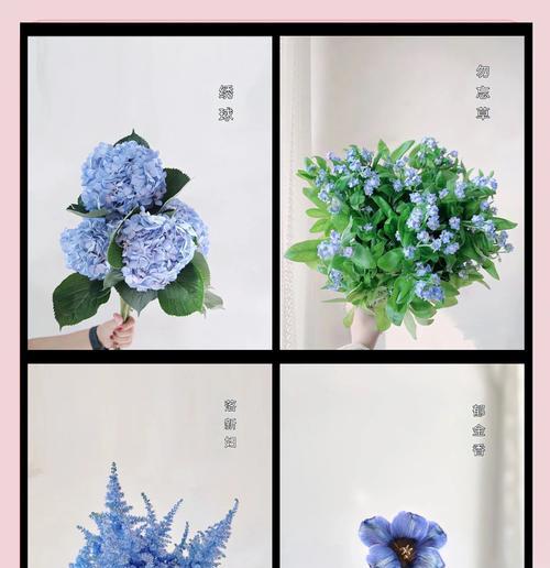 花语与外貌有关吗？如何通过花语表达个性？