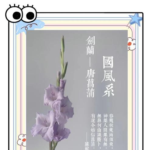 剑兰的花语有哪些？剑兰代表了什么意义？