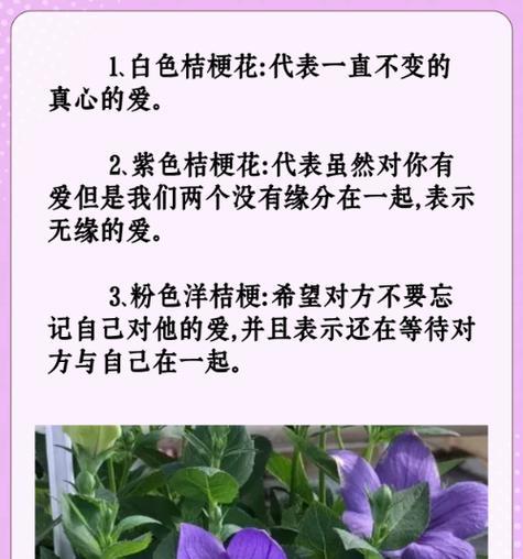 每个季节的花语有哪些？如何表达季节的花语？