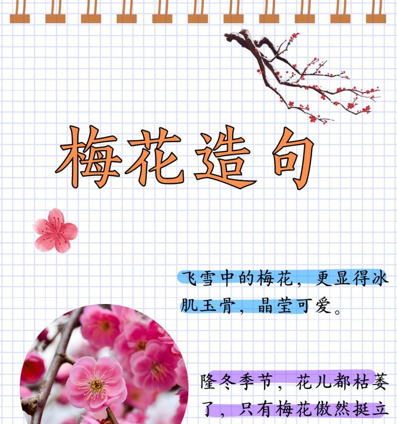 梅花的花语是什么？梅花代表了什么意义？
