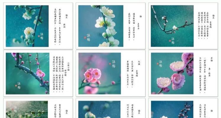 梅花的花语是什么？梅花代表了什么意义？
