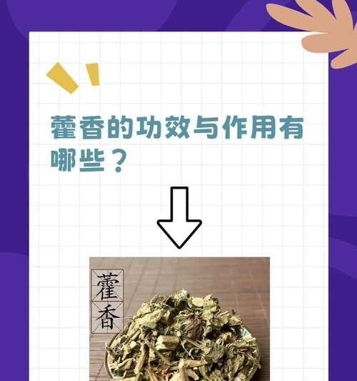 藿香的诗句有哪些？藿香的花语是什么？