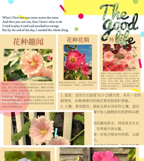 花语28是什么意思？花语28的寓意好吗？
