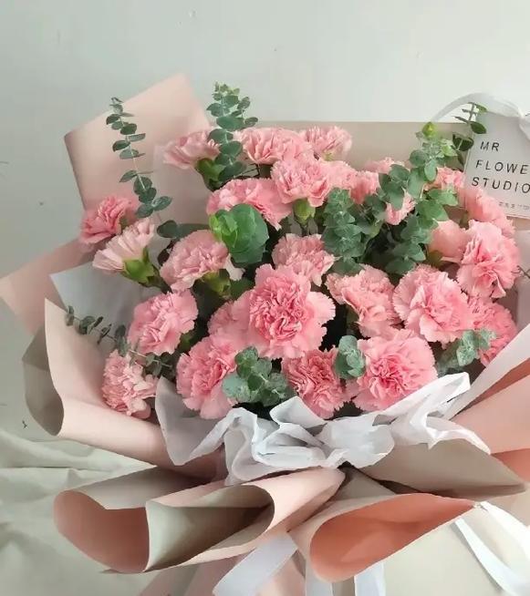 康乃馨花语短代表什么？