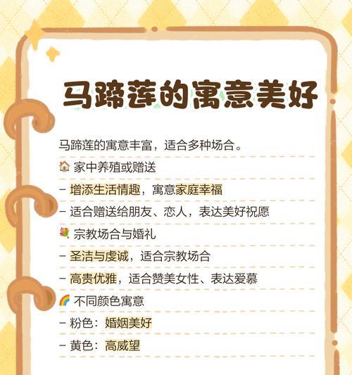 愿望实现的花语有哪些？