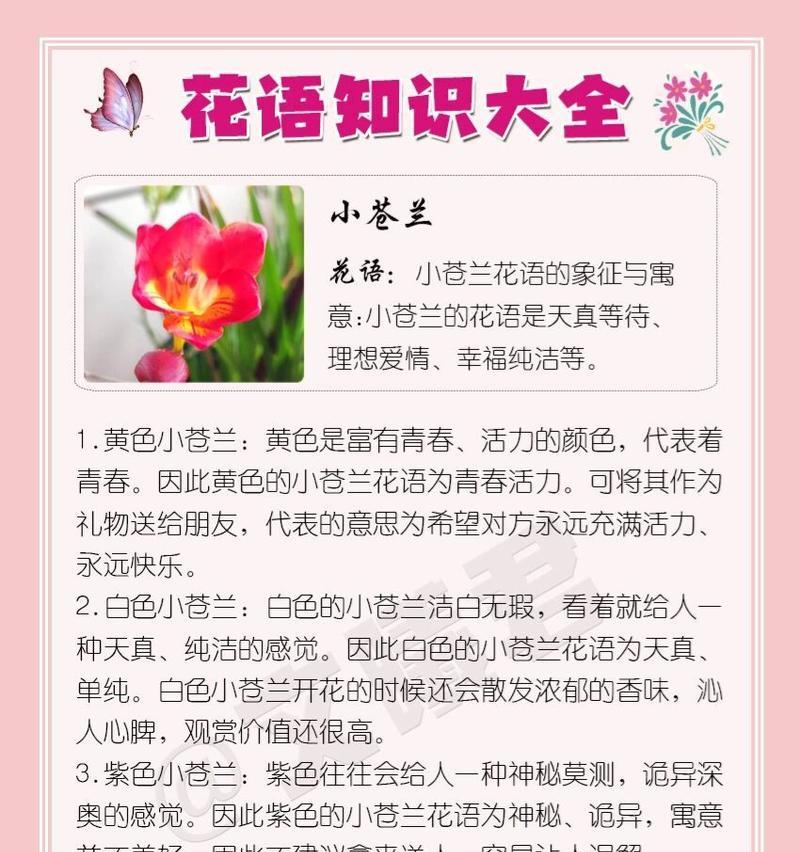 象征革命的花语是什么？