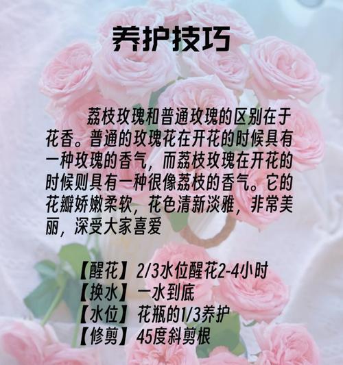各种颜色的花语有哪些？如何选择颜色表达情感？