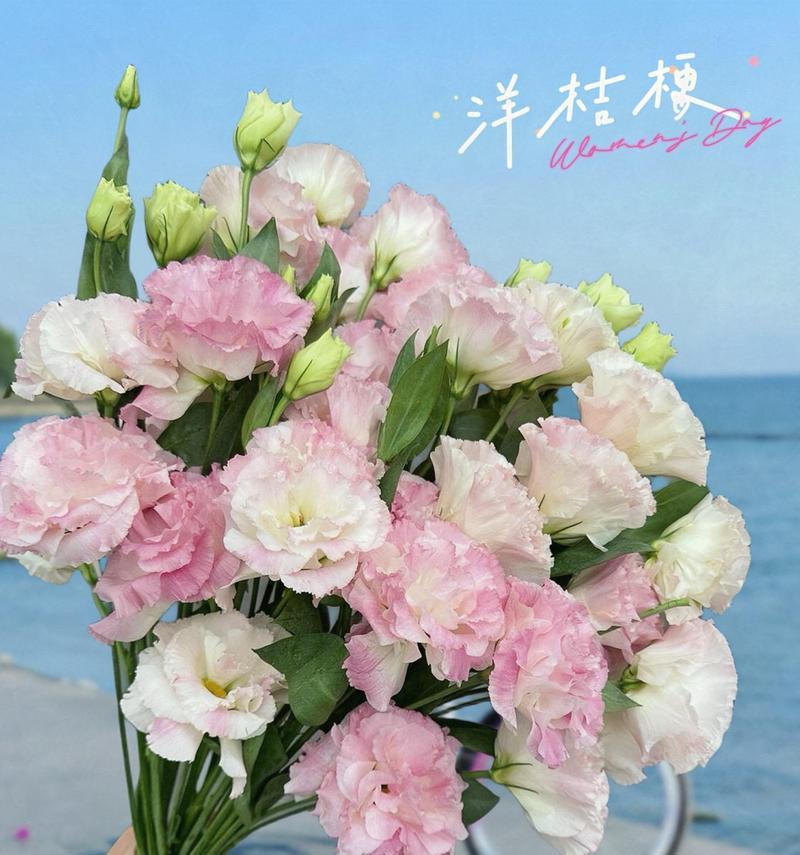 洋桔梗不同支数的花语是什么？如何选择洋桔梗的数量？