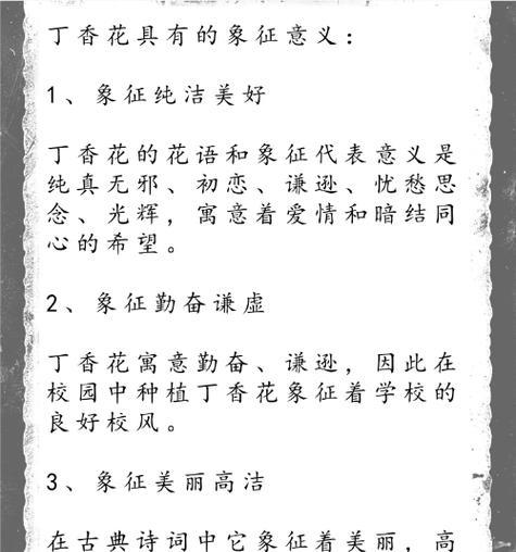 有哪些花语美好的花卉名称？它们分别代表什么？
