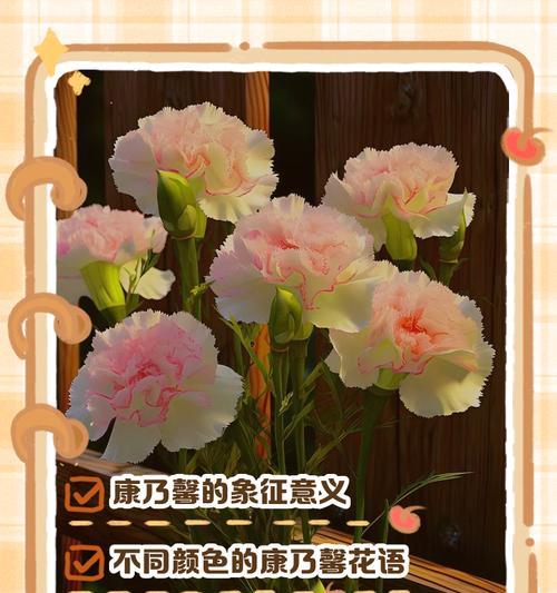 母爱的花语代表什么？有哪些寓意？