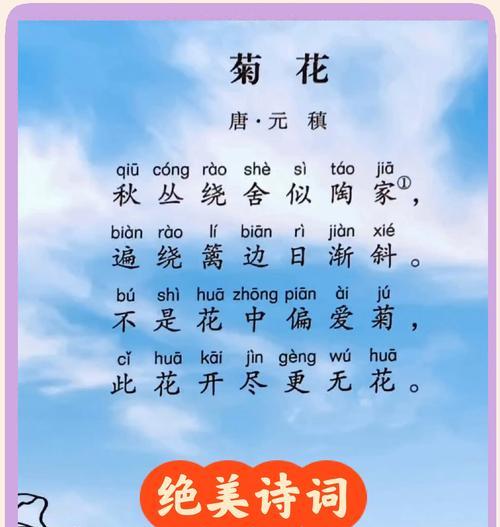 菊花有哪些花语故事？