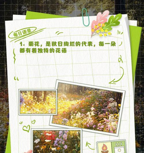 菊花有哪些花语故事？