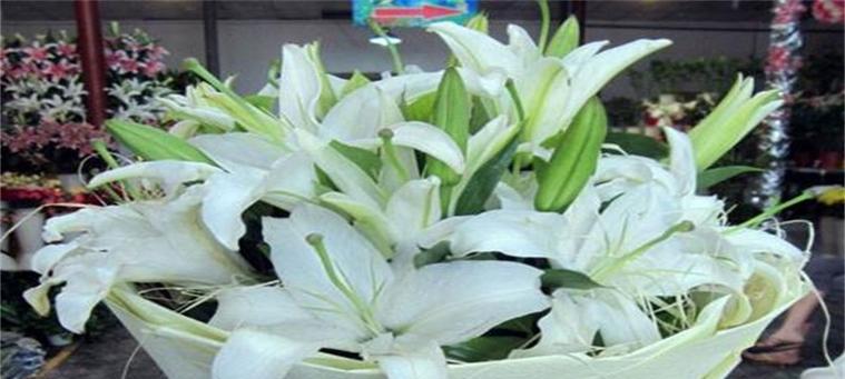霓虹核桃的花语是什么？