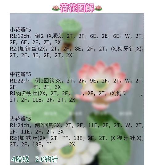 荷花的花语和寓意有哪些？